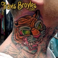 matttiger